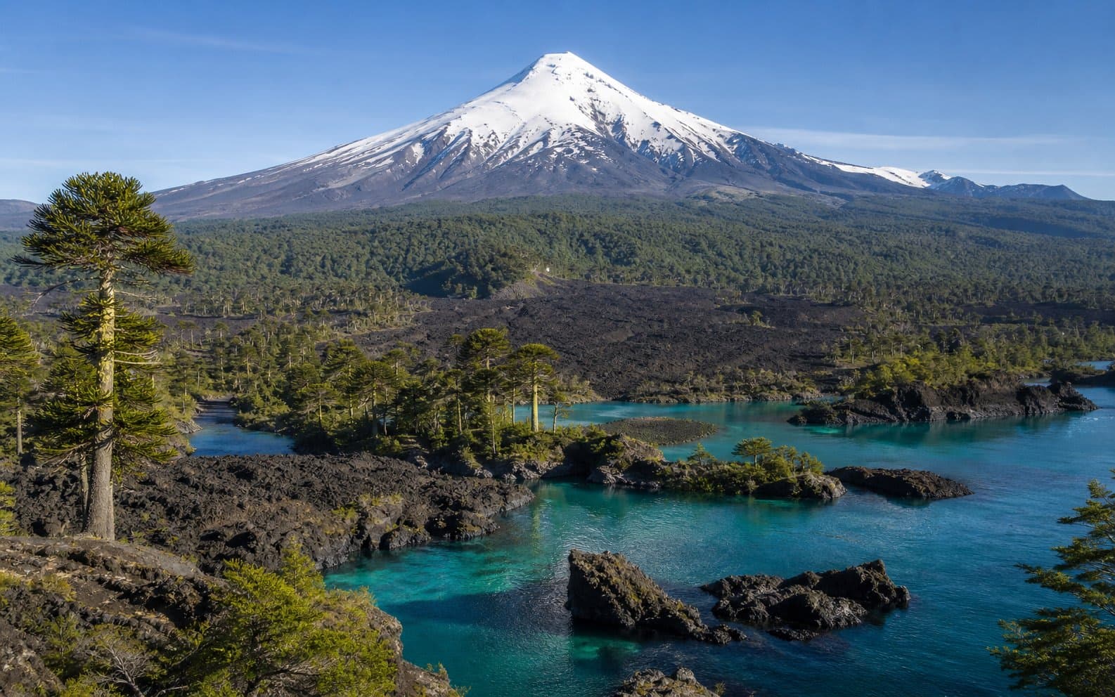 Parque Nacional Conguillío: la Araucanía más prehistórica